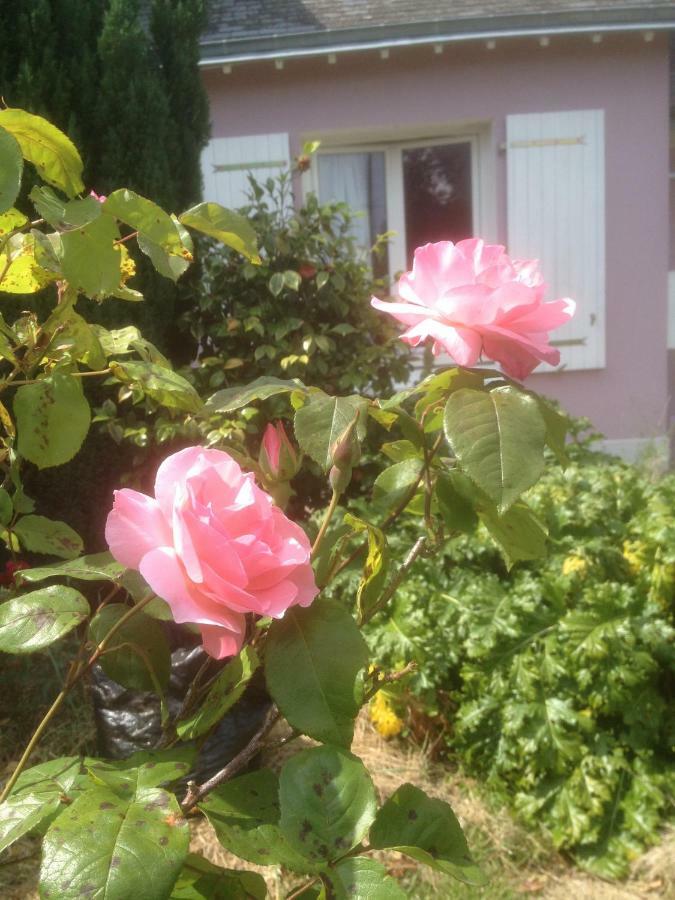 Bed and Breakfast Hon-Ty Ґруа Екстер'єр фото